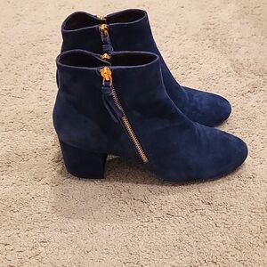 COLE HAAN -Booties suede navy blue